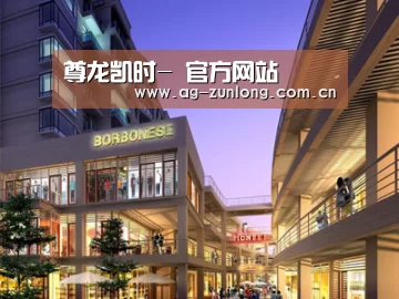 案例展示一(图1)