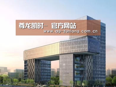 案例展示四