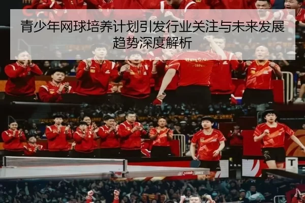 青少年网球培养计划引发行业关注与未来发展趋势深度解析